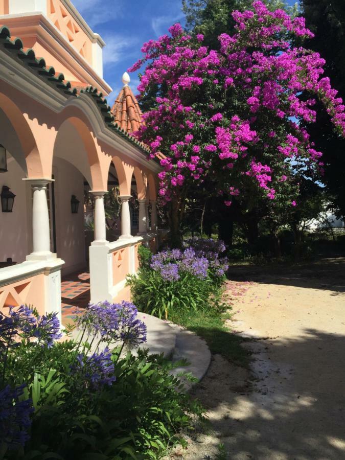 Quinta Da Fogueira Villa Anadia Exterior photo